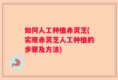 如何人工种植赤灵芝(实现赤灵芝人工种植的步骤及方法)