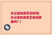 办公室放真灵芝好吗(办公室放真灵芝有益健康吗？)