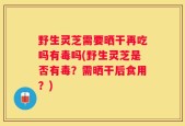 野生灵芝需要晒干再吃吗有毒吗(野生灵芝是否有毒？需晒干后食用？)