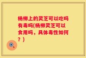 杨柳上的灵芝可以吃吗有毒吗(杨柳灵芝可以食用吗，具体毒性如何？)