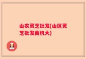 山农灵芝批发(山区灵芝批发商机大)