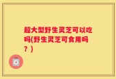 超大型野生灵芝可以吃吗(野生灵芝可食用吗？)