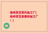 亳州灵芝茶代加工厂(亳州灵芝茶原料加工厂！)