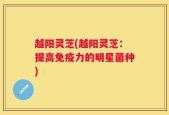 越阳灵芝(越阳灵芝：提高免疫力的明星菌种)