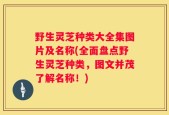 野生灵芝种类大全集图片及名称(全面盘点野生灵芝种类，图文并茂了解名称！)