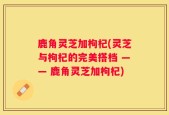 鹿角灵芝加枸杞(灵芝与枸杞的完美搭档 —— 鹿角灵芝加枸杞)