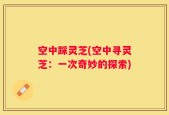 空中踩灵芝(空中寻灵芝：一次奇妙的探索)