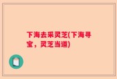 下海去采灵芝(下海寻宝，灵芝当道)