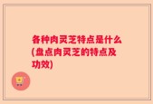 各种肉灵芝特点是什么(盘点肉灵芝的特点及功效)