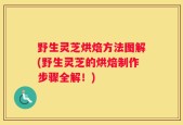 野生灵芝烘焙方法图解(野生灵芝的烘焙制作步骤全解！)