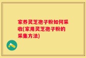 家养灵芝孢子粉如何采收(家用灵芝孢子粉的采集方法)