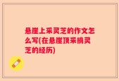 悬崖上采灵芝的作文怎么写(在悬崖顶采摘灵芝的经历)