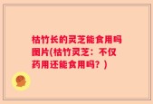 枯竹长的灵芝能食用吗图片(枯竹灵芝：不仅药用还能食用吗？)