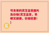 可食用的灵芝盆景图片及价格(灵芝盆景，养眼又健康，价格优惠！)
