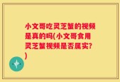 小文哥吃灵芝蟹的视频是真的吗(小文哥食用灵芝蟹视频是否属实？)