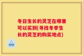 冬日生长的灵芝在哪里可以买到(寻找冬季生长的灵芝的购买地点)