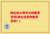 陕北的土地可以种植灵芝吗(陕北适宜种植灵芝吗？)
