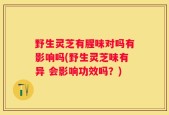 野生灵芝有腥味对吗有影响吗(野生灵芝味有异 会影响功效吗？)