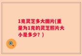 1克灵芝多大图片(重量为1克的灵芝照片大小是多少？)