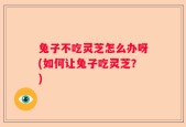 兔子不吃灵芝怎么办呀(如何让兔子吃灵芝？)