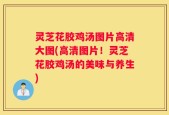 灵芝花胶鸡汤图片高清大图(高清图片！灵芝花胶鸡汤的美味与养生)