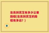 左贡到灵芝有多少公里路程(左贡到灵芝的路程有多远？)