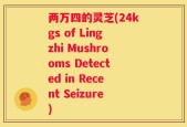 两万四的灵芝(24kgs of Lingzhi Mushrooms Detected in Recent Seizure)