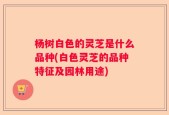 杨树白色的灵芝是什么品种(白色灵芝的品种特征及园林用途)