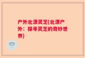 户外北漂灵芝(北漂户外：探寻灵芝的奇妙世界)
