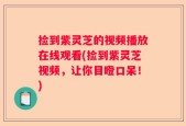 捡到紫灵芝的视频播放在线观看(捡到紫灵芝视频，让你目瞪口呆！)
