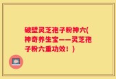 破壁灵芝孢子粉神六(神奇养生宝——灵芝孢子粉六重功效！)