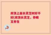 房顶上面长灵芝树好不好(房顶长灵芝，养眼又养生