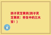 鸽子灵芝黄芪(鸽子灵芝黄芪：养生中的三大宝！)