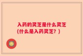 入药的灵芝是什么灵芝(什么是入药灵芝？)