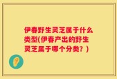 伊春野生灵芝属于什么类型(伊春产出的野生灵芝属于哪个分类？)