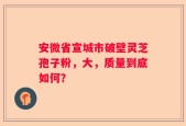 安微省宣城市破壁灵芝孢子粉，大，质量到底如何？