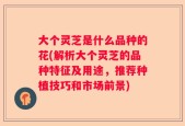 大个灵芝是什么品种的花(解析大个灵芝的品种特征及用途，推荐种植技巧和市场前景)
