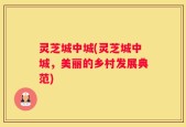 灵芝城中城(灵芝城中城，美丽的乡村发展典范)