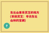 东北山里采灵芝的地方(采摘灵芝：寻访东北山林的宝藏)