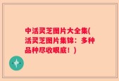 中活灵芝图片大全集(活灵芝图片集锦：多种品种尽收眼底！)