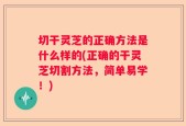 切干灵芝的正确方法是什么样的(正确的干灵芝切割方法，简单易学！)