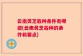 云南灵芝栽种条件有哪些(云南灵芝栽种的条件和要点)