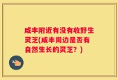 咸丰附近有没有收野生灵芝(咸丰周边是否有自然生长的灵芝？)