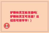 驴鞭和灵芝能泡酒吗(驴鞭和灵芝可泡酒？这招你可得学学！)
