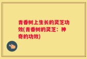 青香树上生长的灵芝功效(青香树的灵芝：神奇的功效)