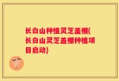 长白山种植灵芝盖棚(长白山灵芝盖棚种植项目启动)