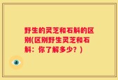 野生的灵芝和石斛的区别(区别野生灵芝和石斛：你了解多少？)