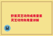 野紫灵芝功效或用量紫灵芝功效和用量详解