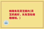 精雕角花灵芝图片(灵芝的美好，从角落处精雕细琢。)