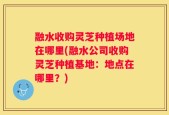 融水收购灵芝种植场地在哪里(融水公司收购灵芝种植基地：地点在哪里？)